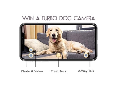 Win a Furbo Dog Camera