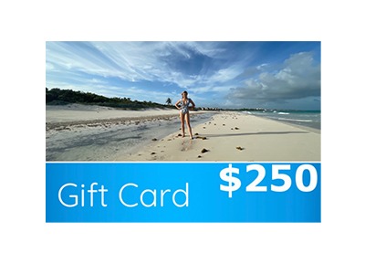 Chic Mama LA $250 Visa Gift card Giveaway