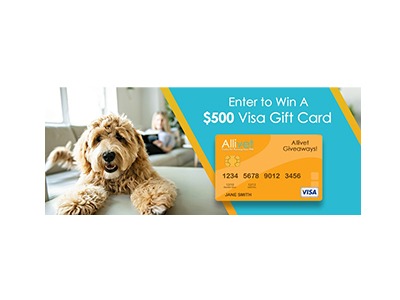 Allivet Visa Gift Card Giveaway