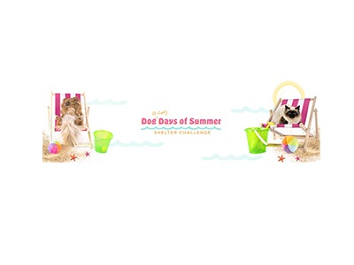 Dog Days of Summer Shelter CHALLENGE