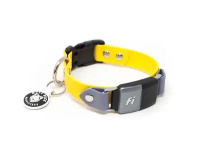 Win a GPS Tracking Pet Collar