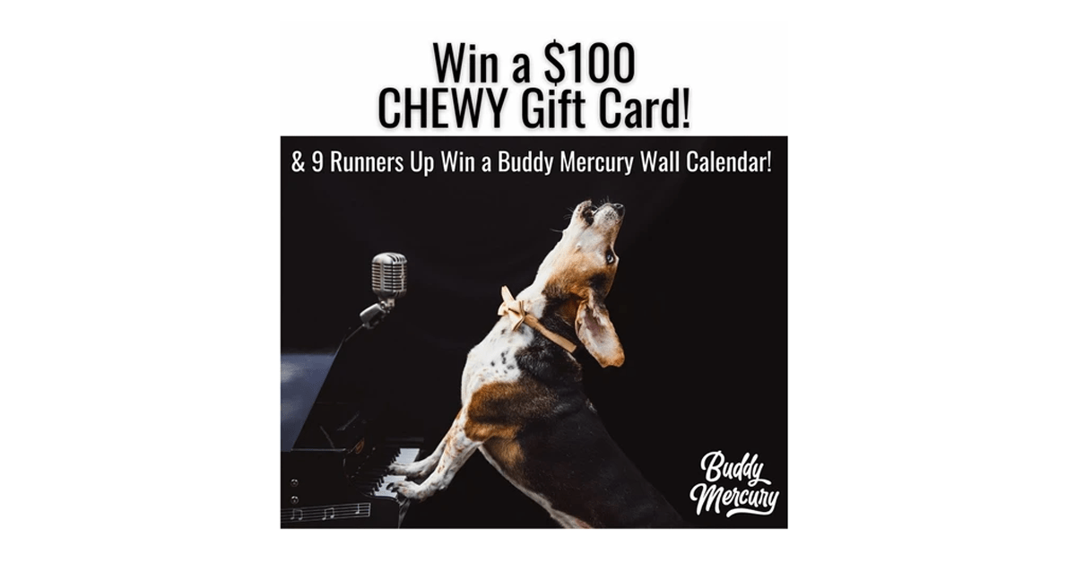Buddy Mercury's $100 Chewy Gift Card Giveaway