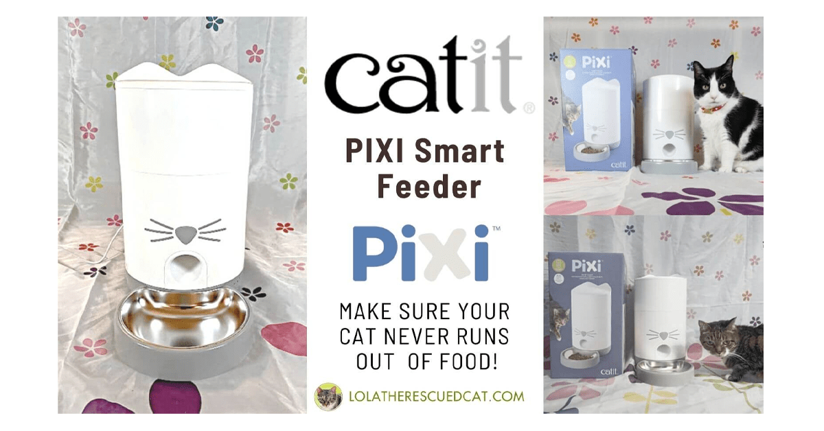Catit PIXI Smart Feeder Giveaway