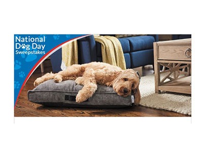La-Z-Boy National Dog Day Sweepstakes
