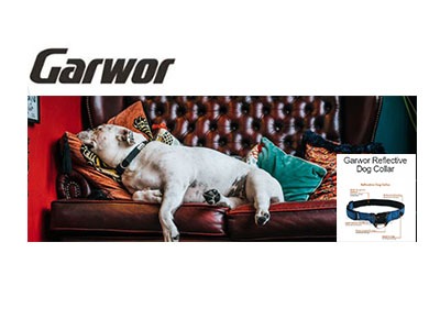 Win a Reflective Dog Collar