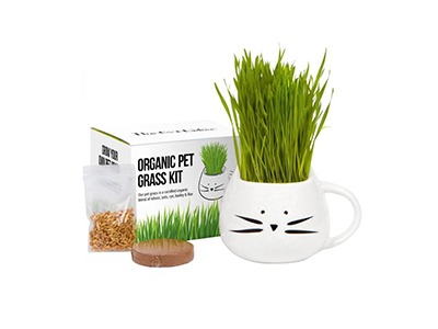 Win a Cat Grass Garden