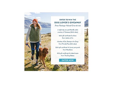 Dog Lover's Giveaway