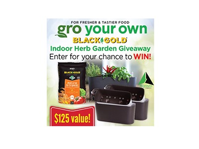 Indoor Herb Garden Giveaway