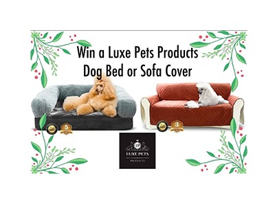 Win a Luxe Pets Products Dog Bed or Sofa Cover