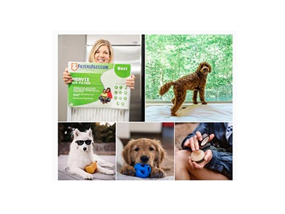 Pet Hair, Don't Care Sweepstakes