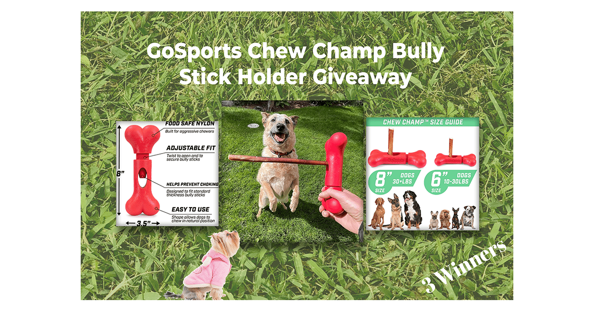 GoSports Chew Champ Giveaway