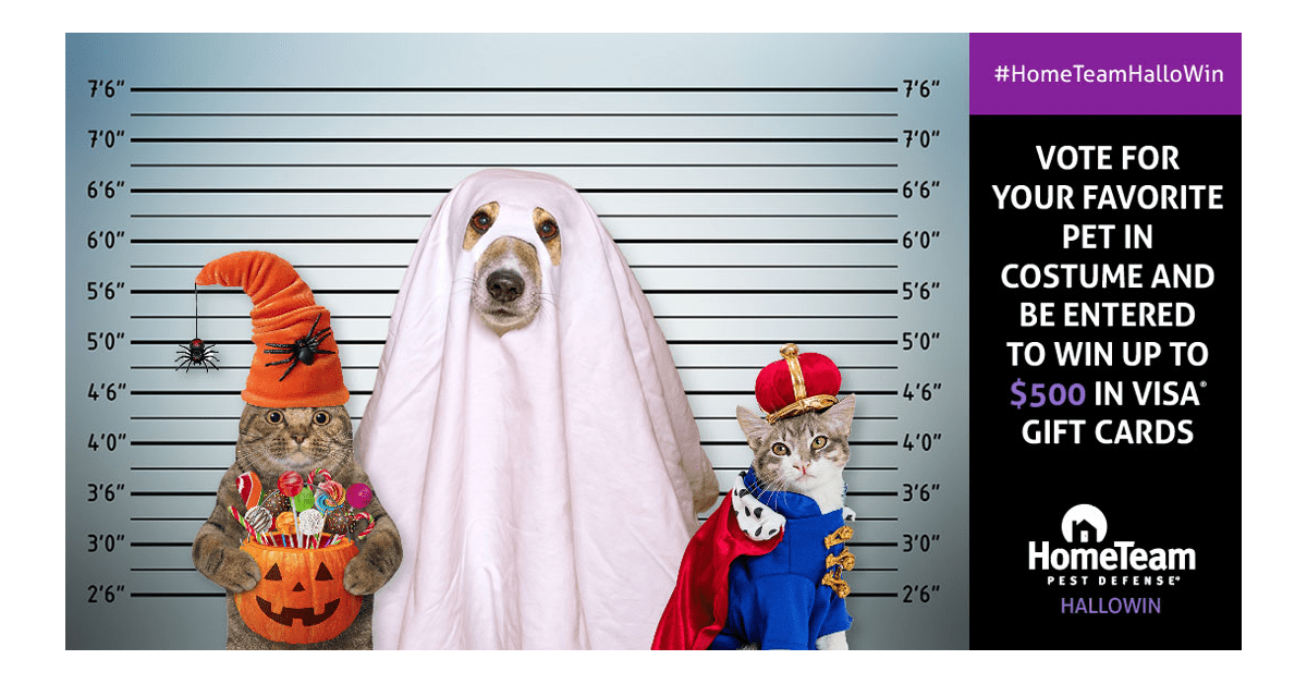 HomeTeam Pest Defense $500 Visa Gift Card Giveaway