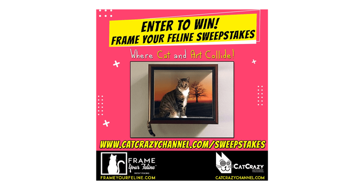 Frame Your Feline Sweeps